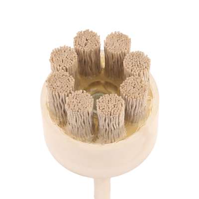 Deyan Aluminum Oxide Silicon Carbide Abrasive Polishing Brush,Abrasive Nylon Rod Brush